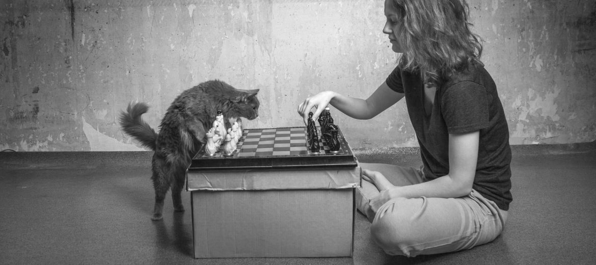 Women playing chess with cat as her opponent