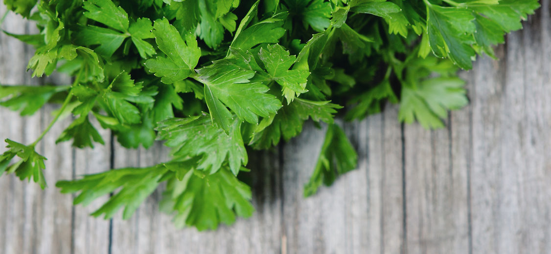 Fresh parsley on a wooden background and jute bags